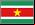 Jornais de notícias de Suriname